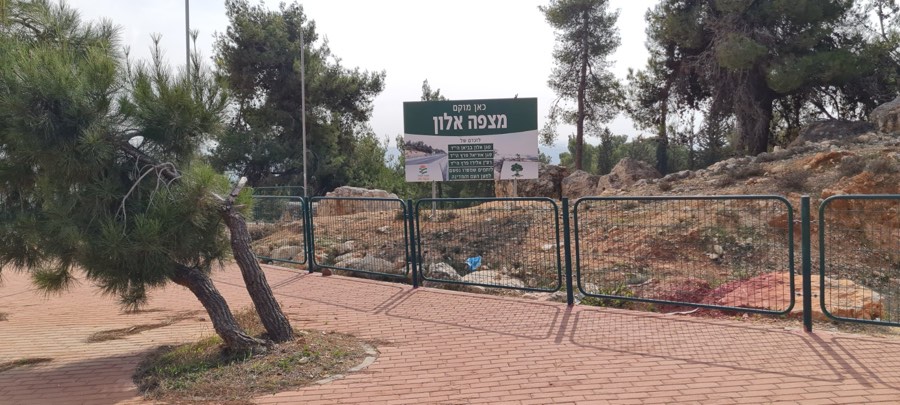 מצפה אלון