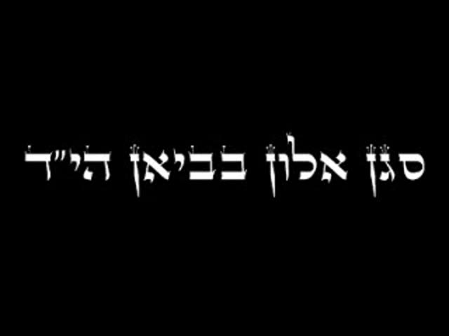 מצגת תמונות